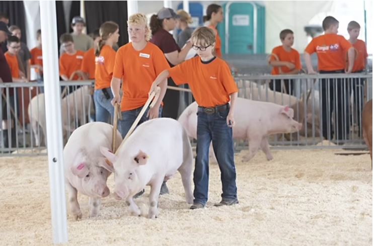As the Canadian Dairy XPO wraps, eyes are on Ontario Pork Congress around the corner